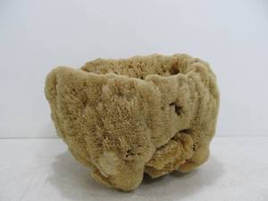 lot 239 image: Large Natural Sea Sponge