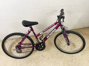 lot 334 image: Great Divide Magna Womens Bike