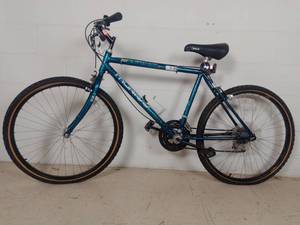 lot 339 image: 18 Speed Murray Mountain Scene