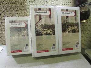 (BS) Set of 3 Illuminated Lighted D...