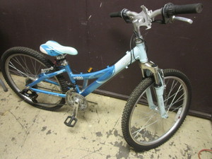 lot 241 image: TREK MT220 CHILD BICYCLE