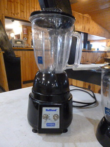 lot 9 image: NuBlend Blender