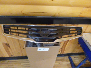 lot 111 image: New Sentra Grill
