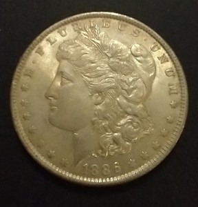 1886 Morgan Dollar