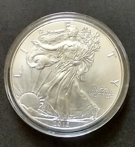 2013 American Silver Eagle