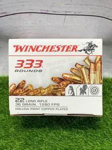 lot 30 image: 333 Rounds .22 Ammo Ammunition