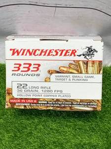 lot 31 image: 333 Rounds .22 Ammo Ammunition