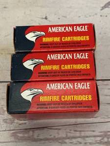 lot 76 image: 150 Rounds of .22 Ammunition Ammo