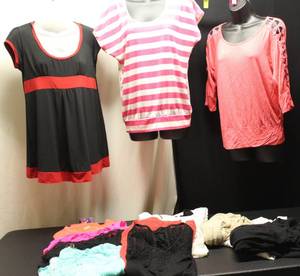 Ladies LXL 12 tops, 3 sweater vest...