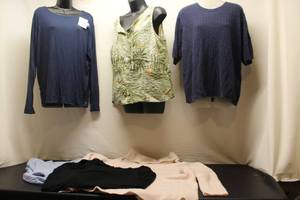 size 2X, 5 tops and a dress...