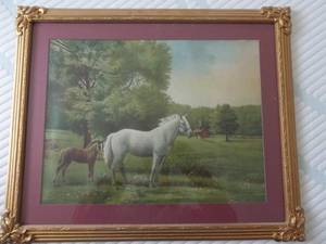 lot 29 image: Framed Matted Horse Picture 18x21