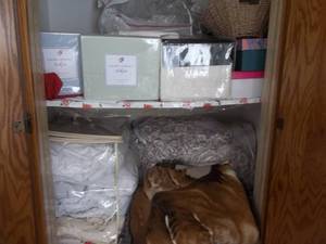 lot 31 image: Contents Of Closet-New Sets Of Twin Size Sheets, Bedding Some New