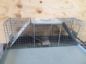 lot 708 image: Large Live Trap