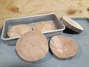 lot 731 image: (5) Dried Wood Slices in Aluminum Pan