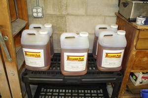 lot 23 image: Lot of (5) Buccaneer Plus Herbicide 2-12 Gallon Plastic Bottles