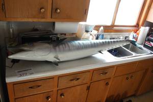lot 377 image: Marlin Mounted Wall Dcor 55