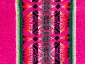 lot 167 image: Pendleton Woolen Mills Beaver State Blanket