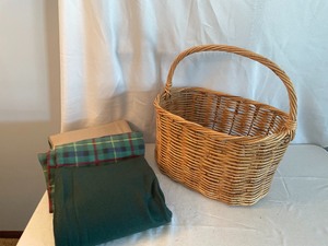 lot 254 image: Fun Basket with 3 Fleece Throws
