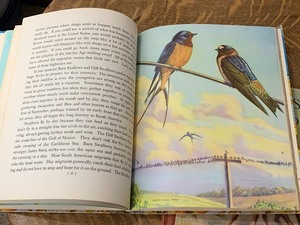 lot 98 image: Two Vintage Books