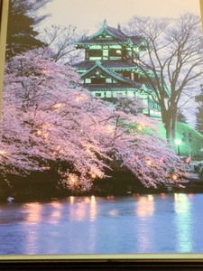 lot 125 image: Framed Pagoda Picture