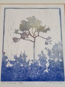 lot 171 image: The Survivor Framed Print By P. Thorngate