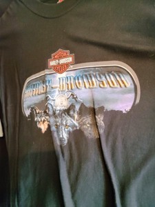 lot 206 image: Variety of Harley DavidsonSkull Themed Clothing