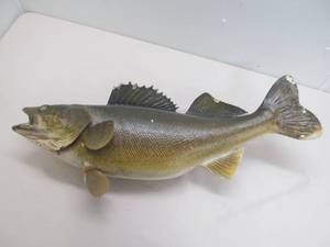 vintage fish mount
