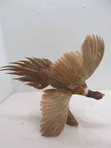 vintage pheasant mount