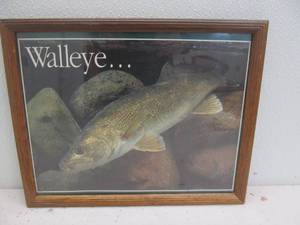 Walleye print