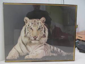 Tiger print