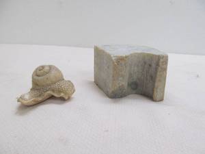 Rock, resin snail
