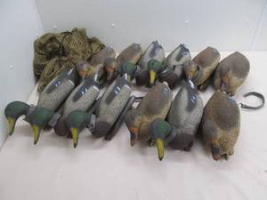 Net bag, decoys