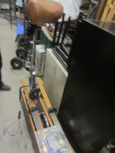 lot 10 image: Nordic Track Skier