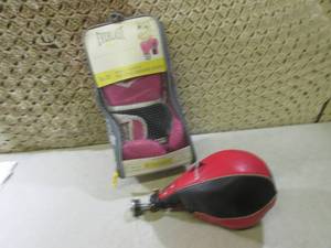 (F-2) Punching Speed Bag and Everla...