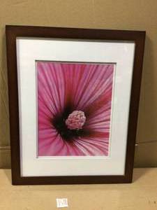 Gallery 11 in. x 14 in. Walnut Double Mat Picture Frame by Pinnacle open box customer return in good condition see pictures