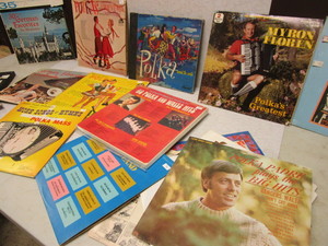 POLKA PADRE, LAWRENCE WELK, MYRON FLOREN, THE RHINELANDERS AND MISC POLKA RECORDS