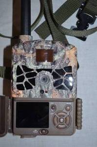 Sportsman 261
