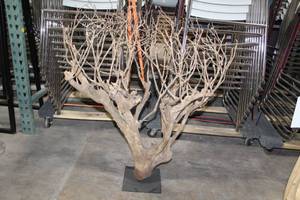 Lot of (4) Tree Dcor 35