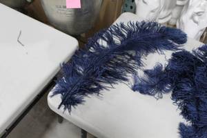 Lot of (70) Ostrich Feathers Purple