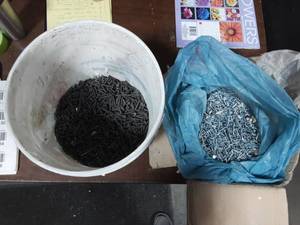 Bucket Of Sheet Rock Screws & Box Of Approx. 10,000 Sheet Rock To Steel Studs Application Screws