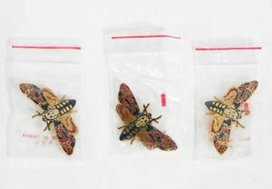 lot 7 image: Lot of 3 New Vintage 1991 Silence of the Lambs Promotional Moth Pins