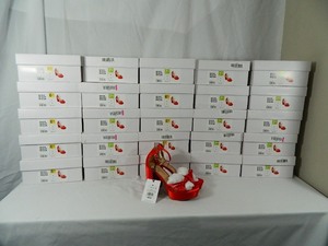 25 New Pair of Womens Red High Heels