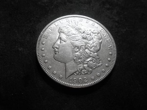 1902 Morgan Silver Dollar