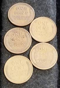 GROUP OF 5 WHEAT CENTS FROM THE 1920S