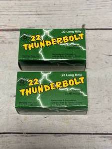 100 Rounds of .22 Ammo Ammunition