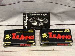 60 Rounds .223 Ammo Ammunition