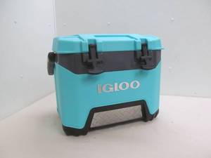 lot 12 image: Igloo cooler