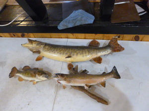 lot 101 image: Stuffed Fish