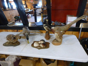 lot 102 image: Stuffed Birds