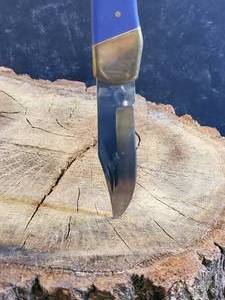 Buck Knife Style Locking Blade Knife